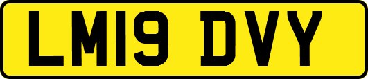 LM19DVY