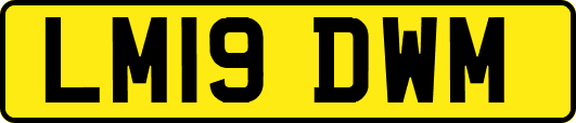 LM19DWM