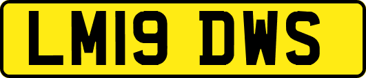 LM19DWS