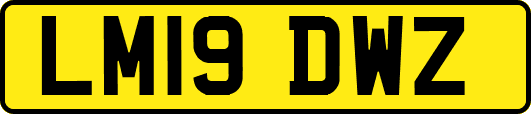 LM19DWZ