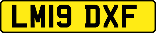LM19DXF