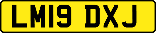 LM19DXJ