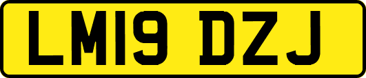 LM19DZJ