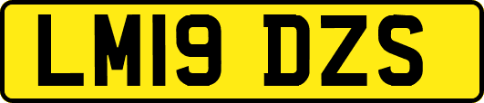 LM19DZS