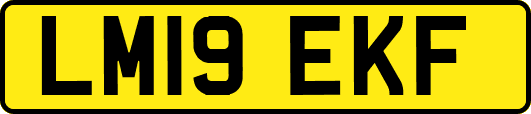 LM19EKF