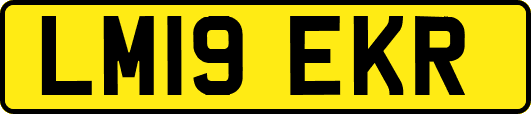 LM19EKR