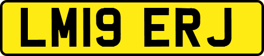 LM19ERJ