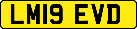 LM19EVD