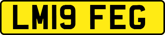 LM19FEG