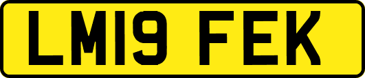 LM19FEK