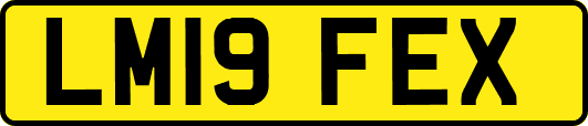 LM19FEX