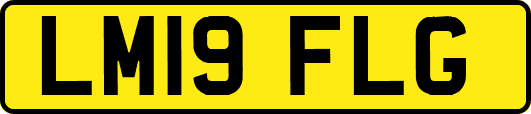 LM19FLG