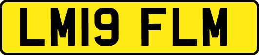 LM19FLM