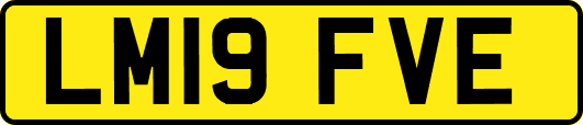 LM19FVE