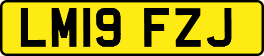 LM19FZJ