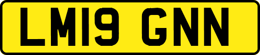 LM19GNN