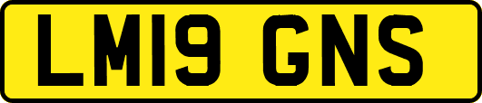 LM19GNS