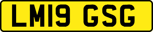 LM19GSG