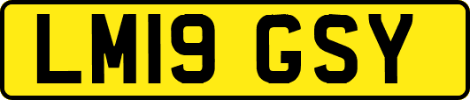 LM19GSY
