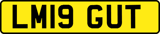 LM19GUT