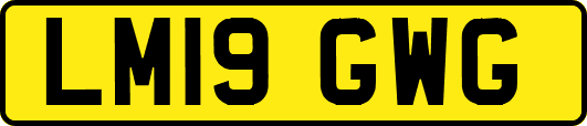 LM19GWG