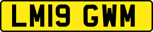 LM19GWM