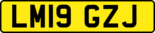 LM19GZJ