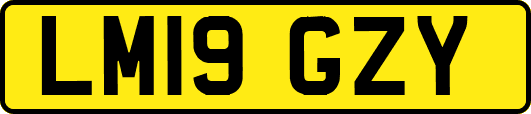 LM19GZY