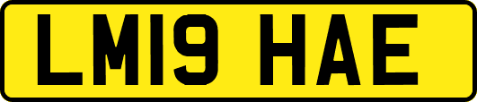 LM19HAE