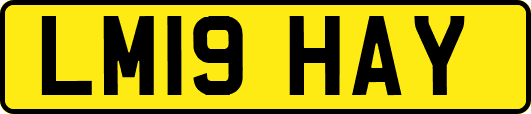LM19HAY