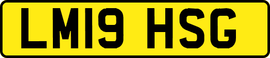 LM19HSG