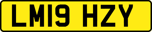 LM19HZY