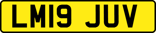 LM19JUV