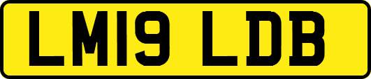LM19LDB
