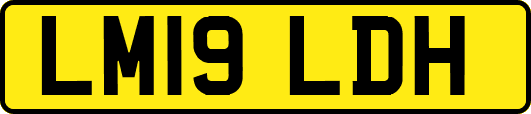 LM19LDH
