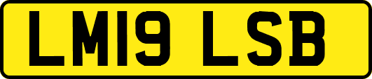 LM19LSB