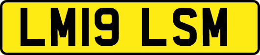 LM19LSM
