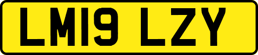 LM19LZY