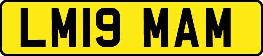 LM19MAM