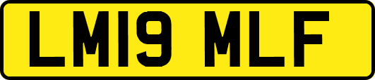 LM19MLF