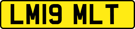 LM19MLT