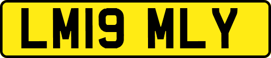 LM19MLY