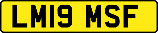 LM19MSF
