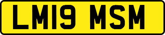 LM19MSM
