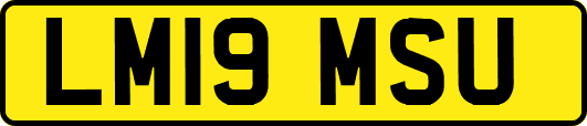 LM19MSU