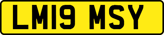 LM19MSY