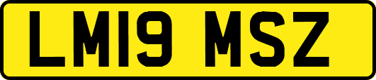 LM19MSZ