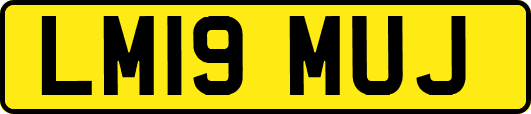 LM19MUJ