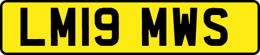 LM19MWS