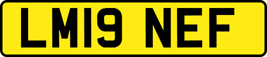 LM19NEF